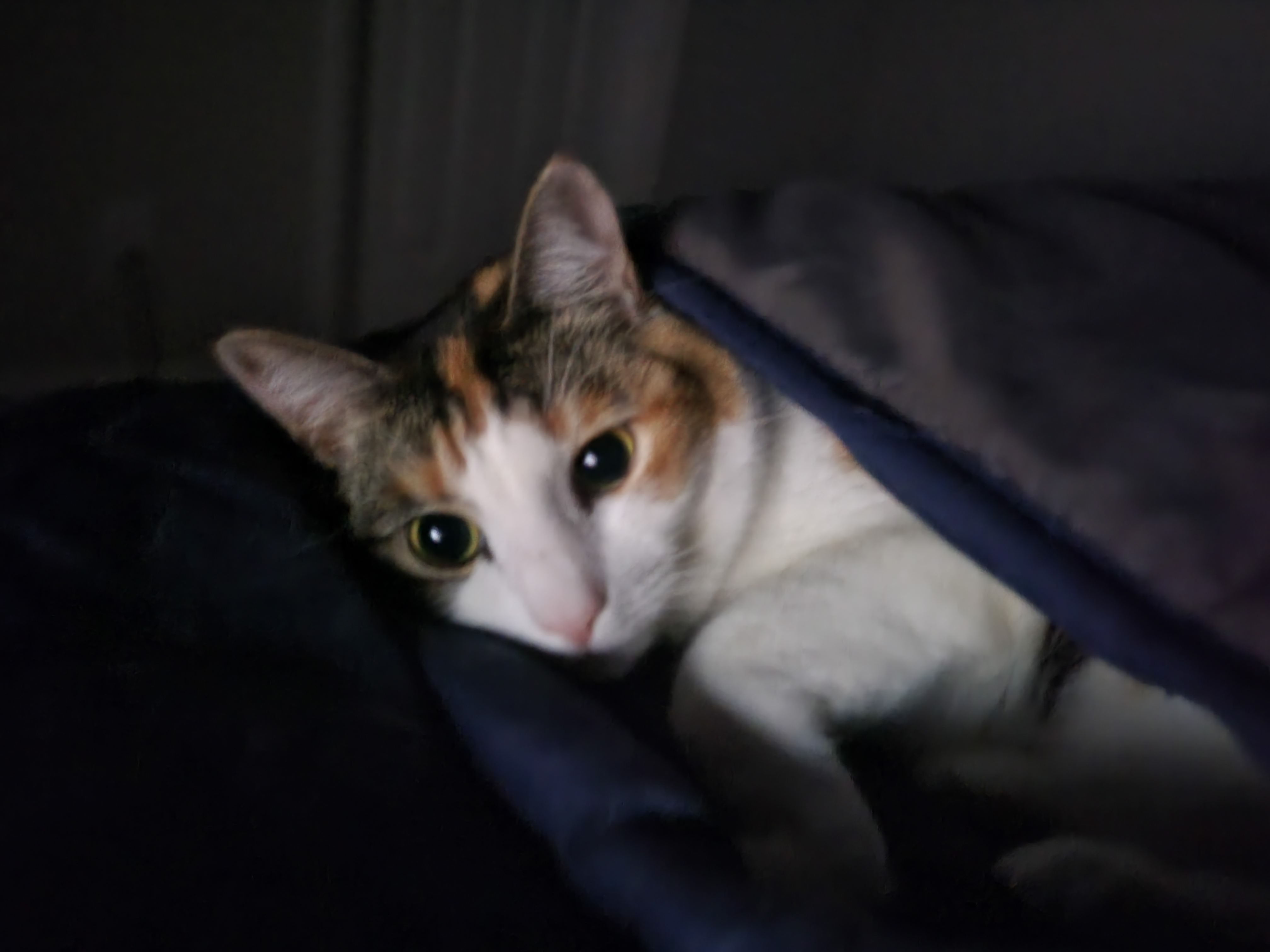 20230627_223702.jpg
