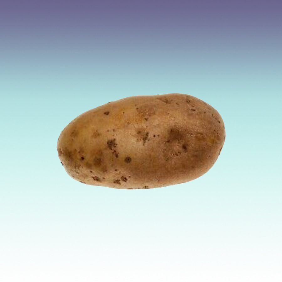 2023_05_25_0t0_Kleki.png