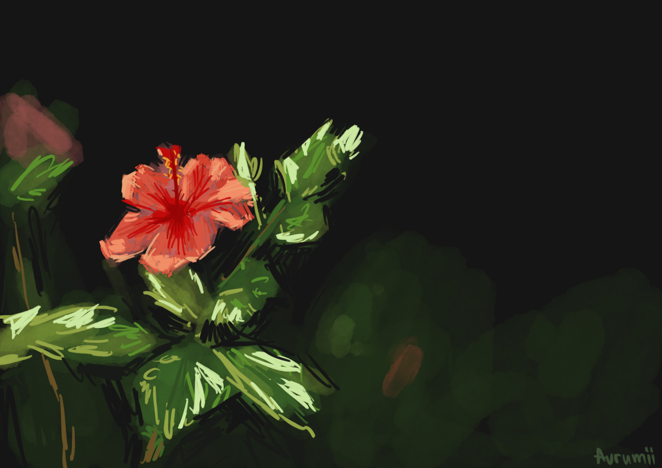2024-12-16_hibiscus_study_upload.jpg