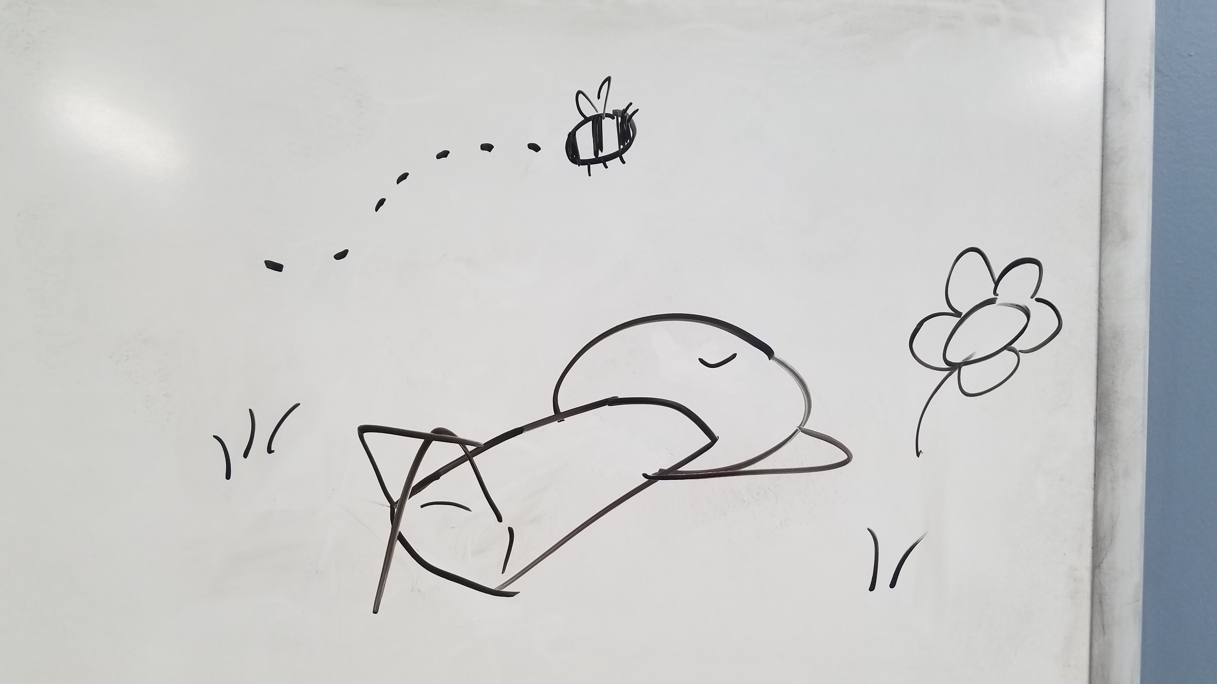 20240725_120549.jpg