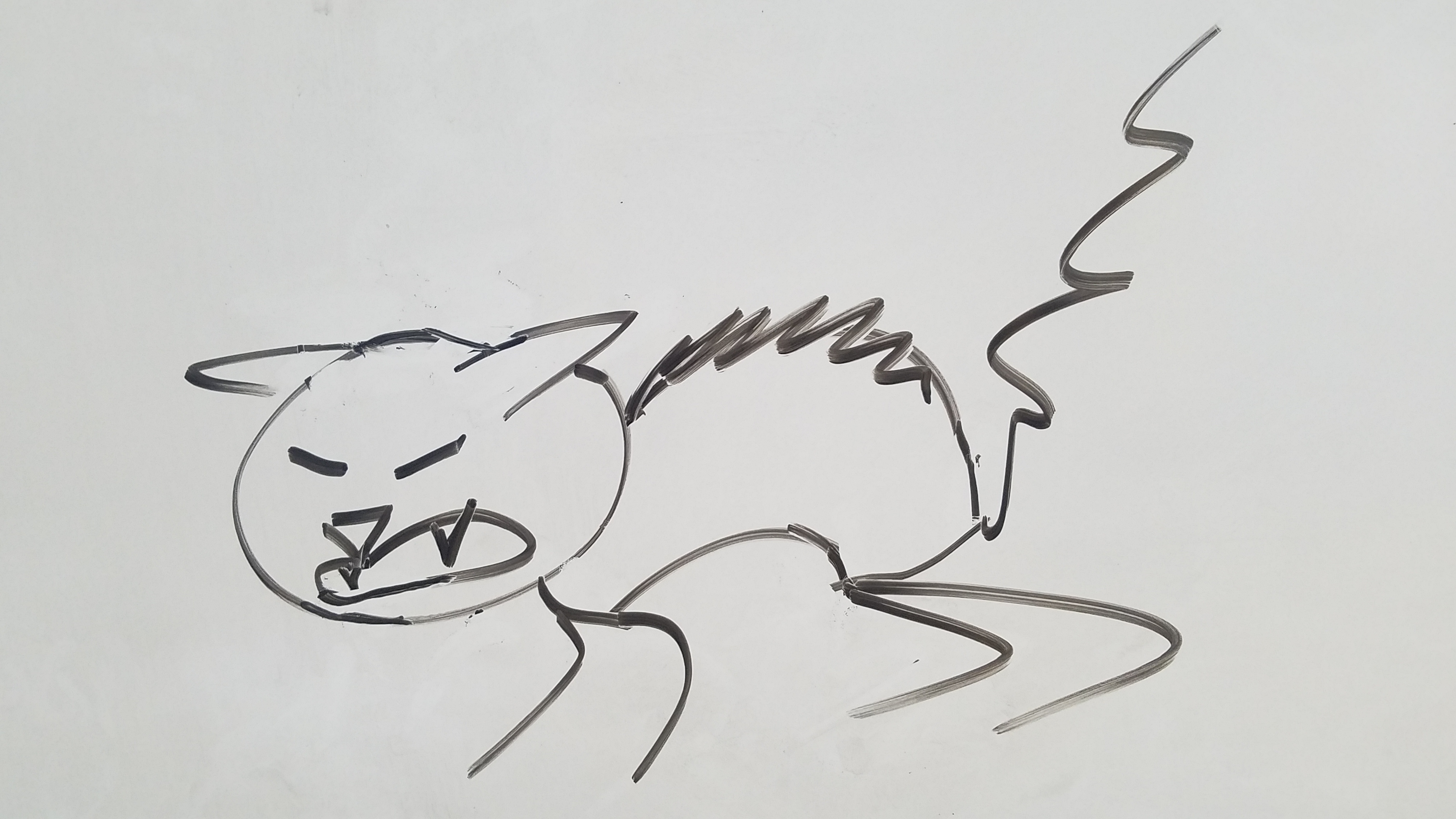 20240830_120915.jpg