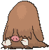 221.gif