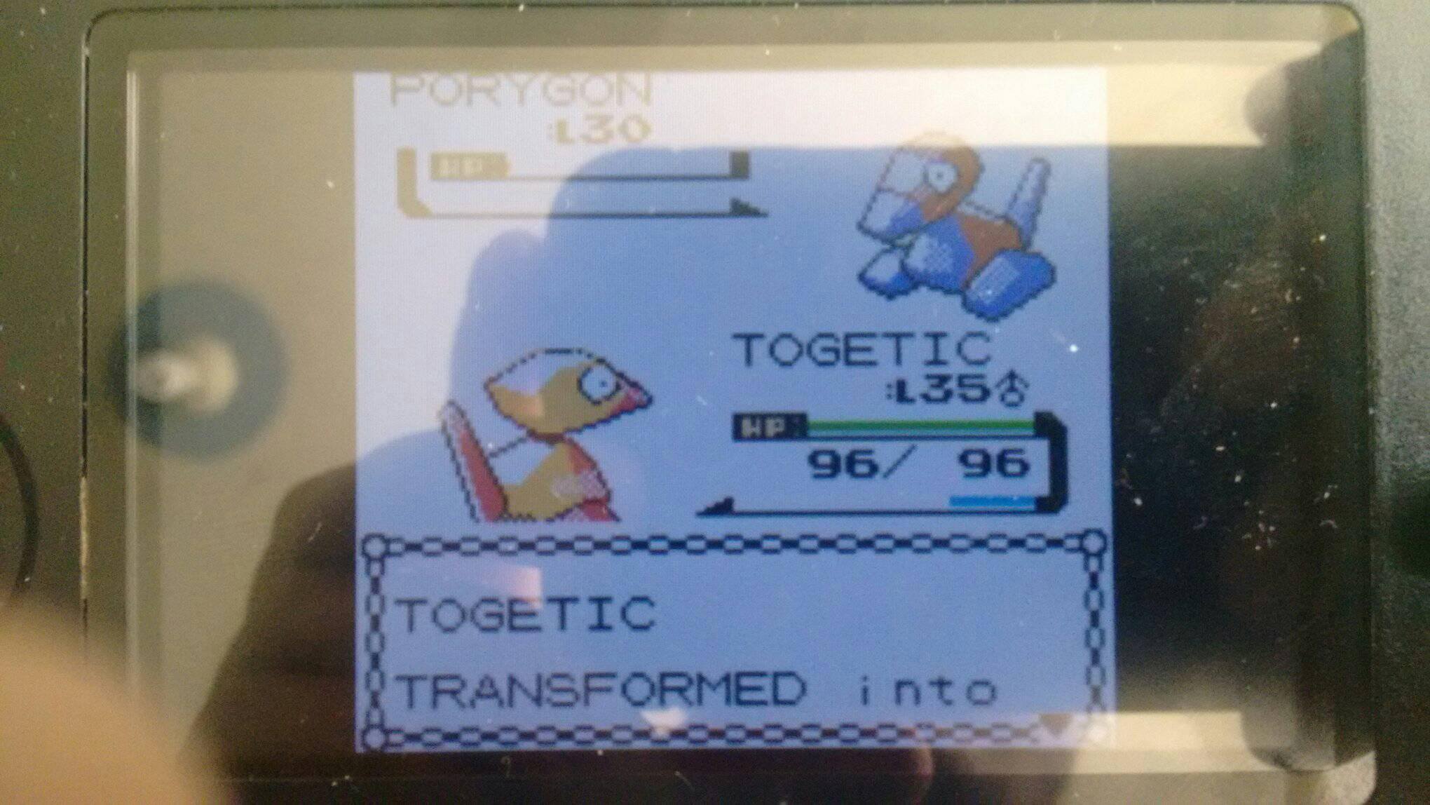 22135548_1957409167864552_4845342500742167354_o.jpg