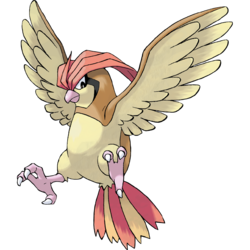250px-017Pidgeotto.png