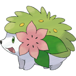 250px-492Shaymin-Land.png