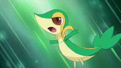 250px-Ash_Snivy.png