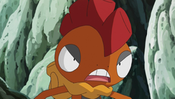 250px-Scrafty_anime.png