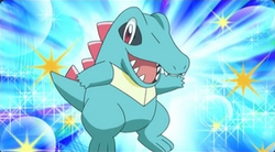 250px-Totodile_anime.png