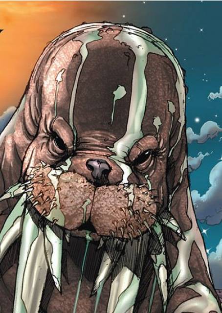 2535720-walrus.jpg