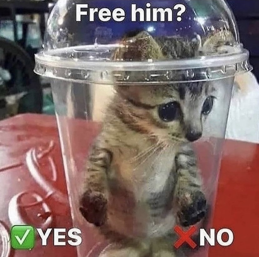 2B0DE16F-41BA-4254-8F7C-7E5FE43F51EA.jpeg