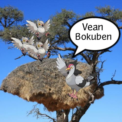 3233DFB2-7557-44F8-B4FD-8CD6E0B1D52A.png