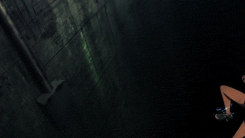 3538618-6170717320-tumbl.gif