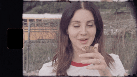 36D0041A-6B61-4E29-8A88-11FEC514A0DC.gif