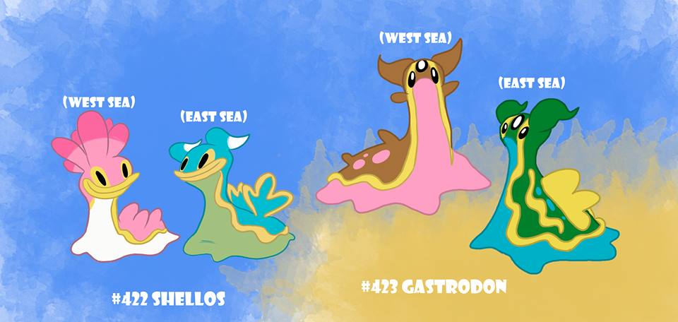 422_shellos_gastrodon_justoon_smitts.jpg