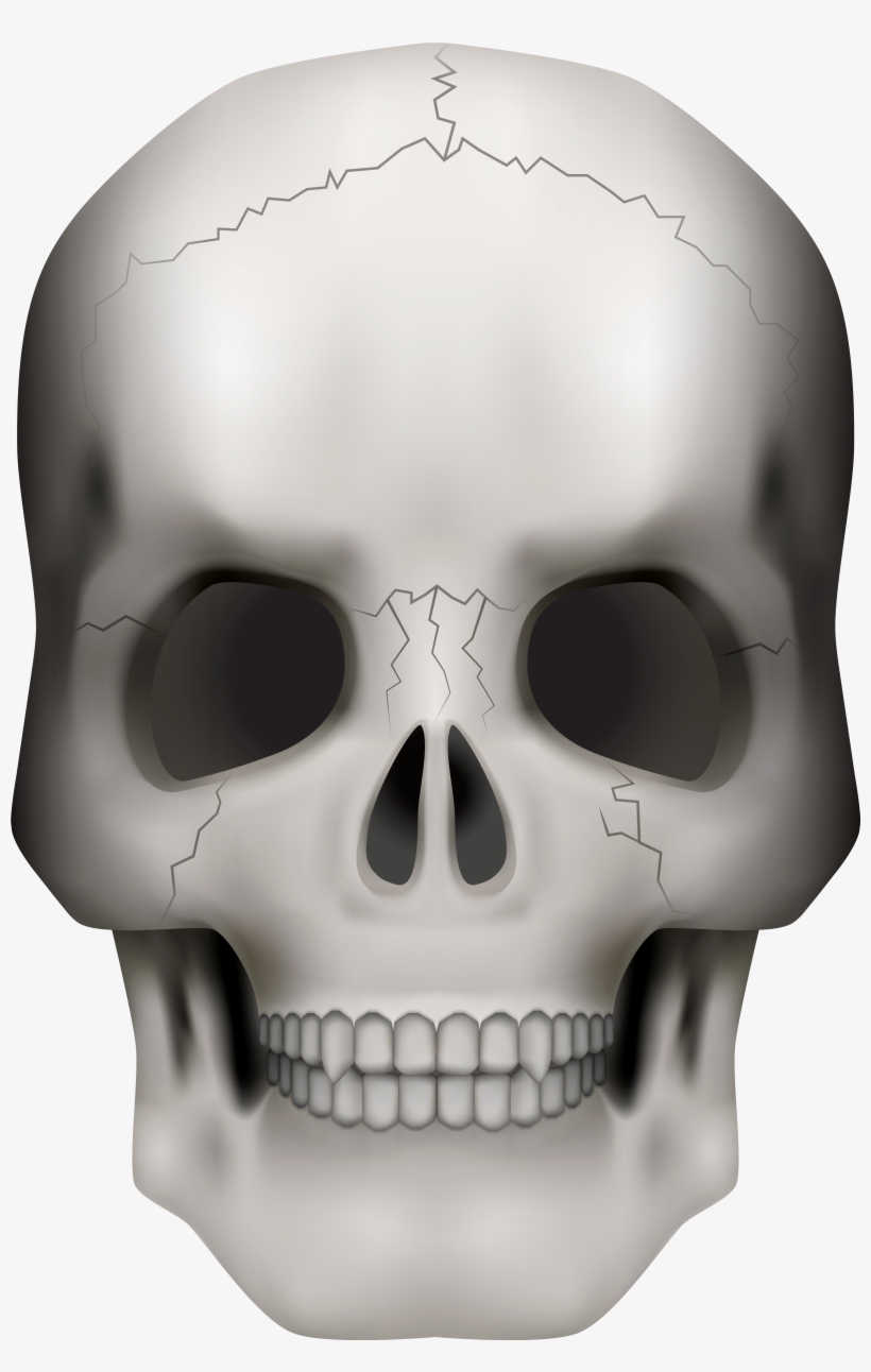 43-432815_transparent-transparent-background-skull-png.jpg