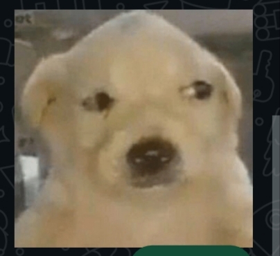 46926.jpg