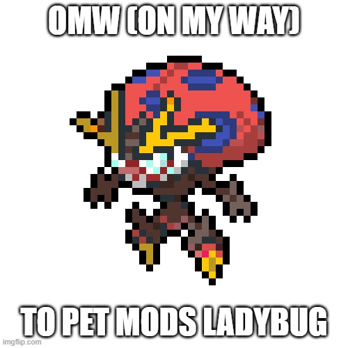 4osnax.jpg
