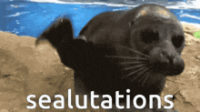 50978.gif