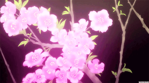 53fc1e060a8ddce8f322ff46913fde25.gif