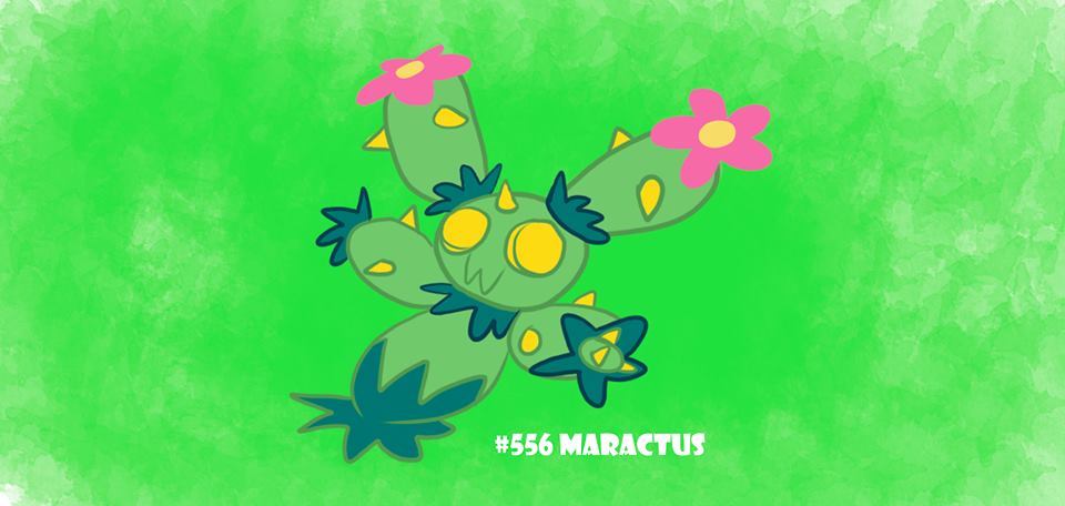 556_maractus_justoon_smitts.jpg