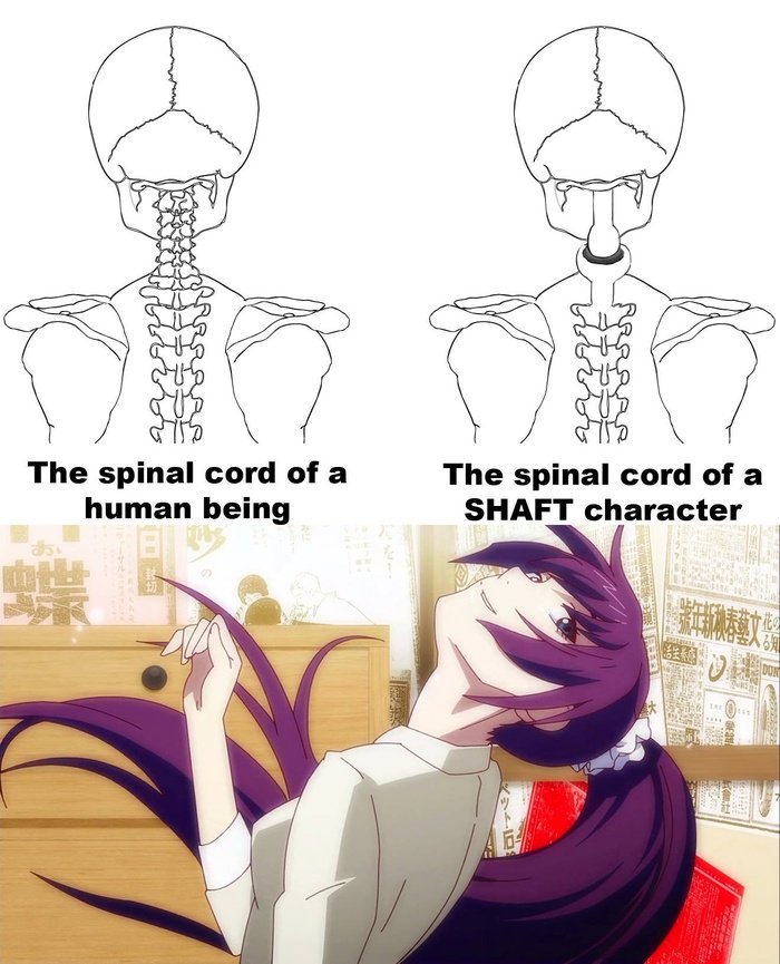 5661c57844a21.jpeg