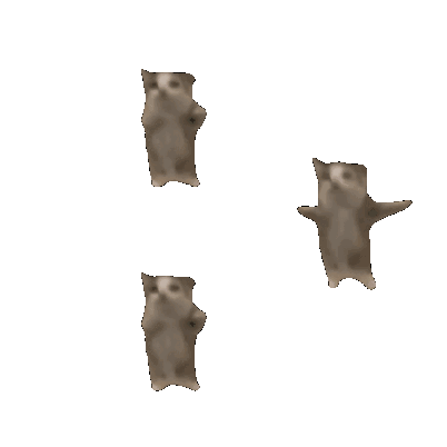 5BCA9B95-86E7-4C8E-94CA-C5D76A1216DF.gif