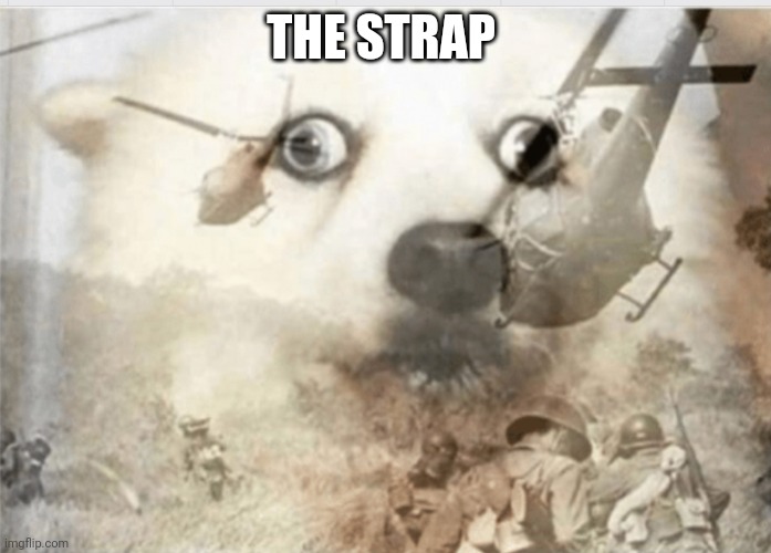 5nhdax.jpg