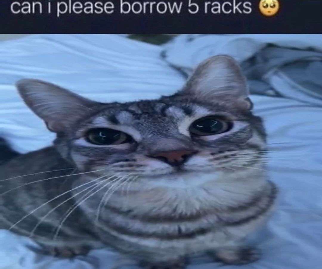 5racks.jpeg