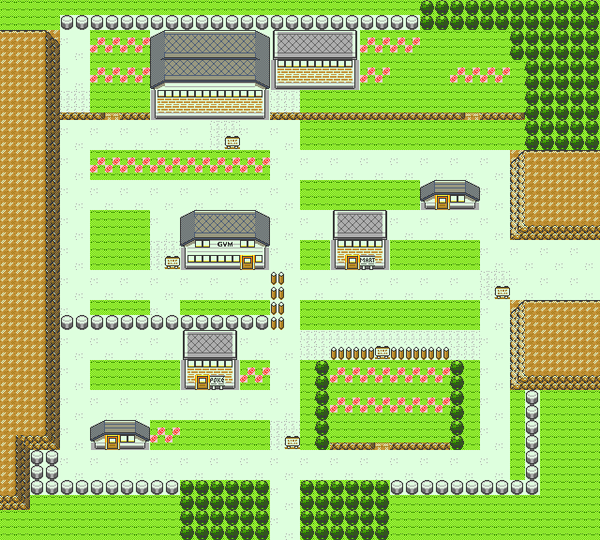 600px-Pokemon_GSC_map_Pewter_City.png