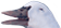 608E6F68-FDFD-49C1-A3F2-55C3DC730585.png