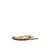618-front-n.gif