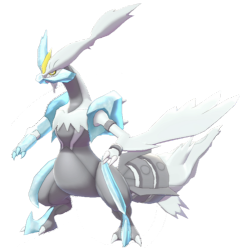646-w.png