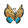 666_13b.png