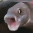 695561965745078304.gif