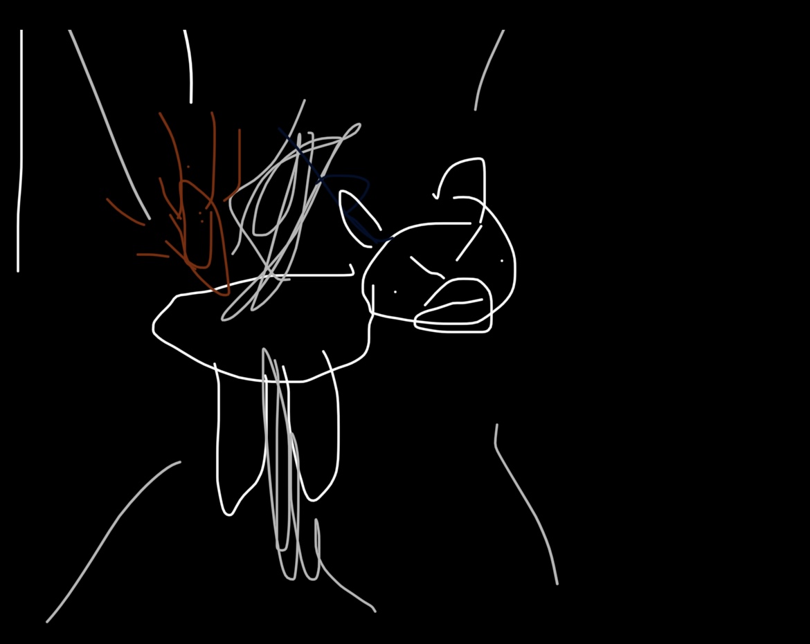 772D09E5-6979-4DE1-958A-160D58B9D968.jpeg