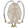 795b.png