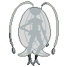795sb.png