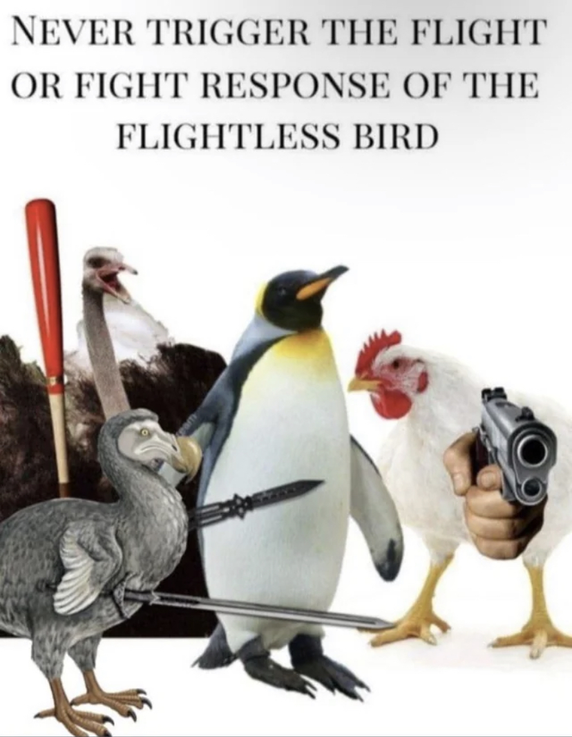 79B34C25-721F-4469-AA64-97B2316FD1DA.jpeg