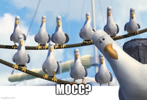 7kyjmn.jpg