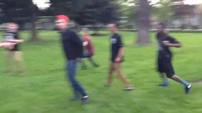 8flgjle-gif.223561