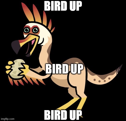 8nfh9y.jpg