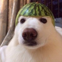 _OJuhxsN_200x200.jpg