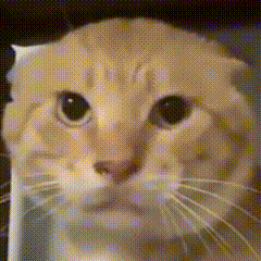 A5849675E970A031DB1E933631D91AEA.gif