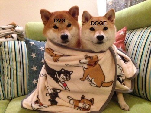 A81D2A51-525D-4312-8D8D-3FD74204C761.png