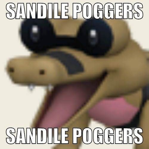 a9df5e4c9819b6029859a14ae97c59be979dcc09r1-500-500v2_00.jpg