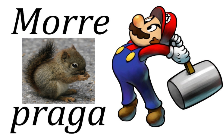 ABA29892-E457-4FC3-AC29-8D329EE47804.png