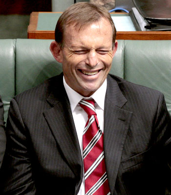 abbott the snoozer.jpg