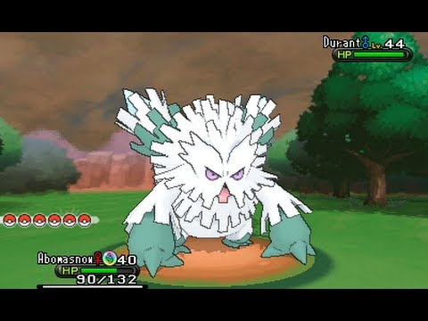 aboma.jpg