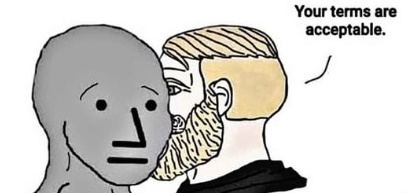 AcceptTerms.jpg