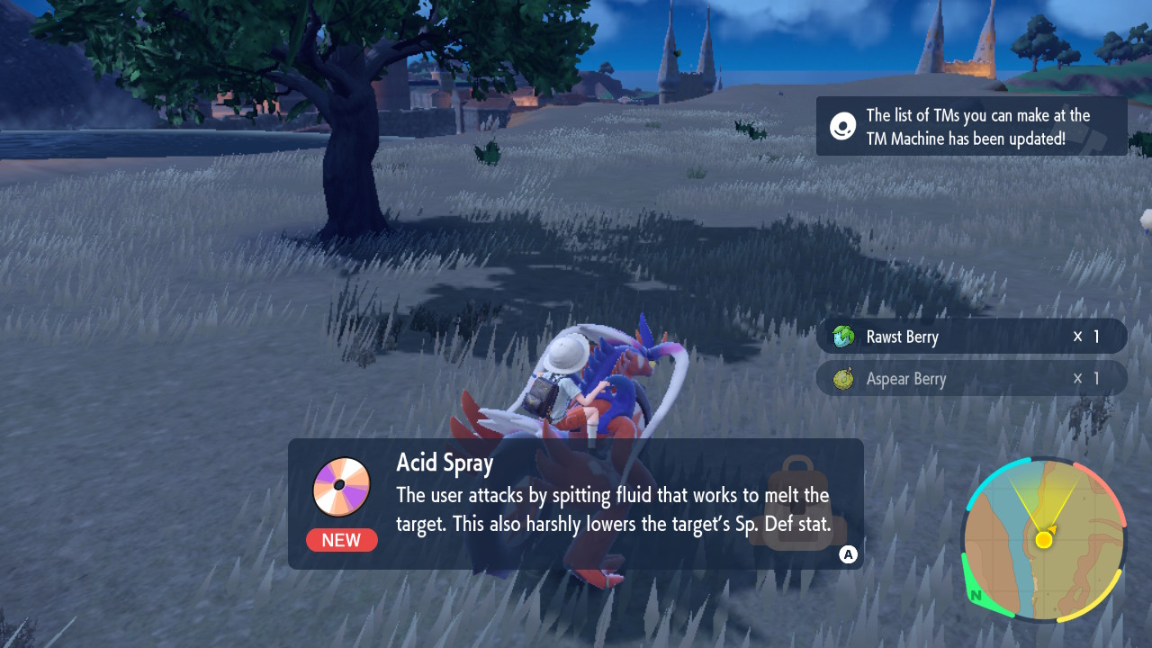 Acid Spray.jpg
